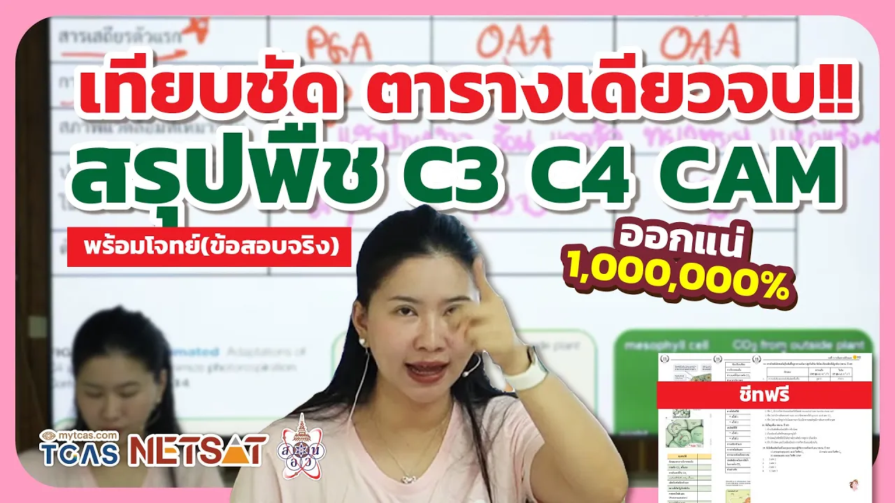 C3 C4 CAM สรุปชัดในตารางเดียว+ ชีทฟรี ⎮ชีวะครูฝ้าย Easybio