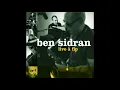 Ben Sidran - Language of the blues