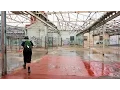 Abandoned Gillies Pie Factory