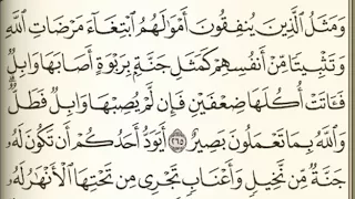 الصفحة 45 فارس عباد سورة البقرة وصف الفيديو 