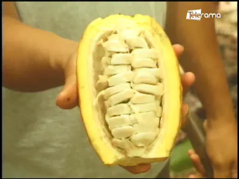 Ecuador Agropecuario 11-01-2018