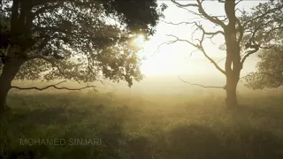                                         يكفي أن تكون سعيدا  ابراهيم تاتلس  عزف موسيقى  دندنها