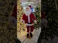 Menards Christmas 2024 Enchanted Forest 6 Foot Life-Size Animated SANTA