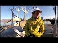 Awolnation - Sail - Red Bull