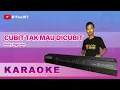 Download Lagu Karaoke Dang Dut - Cubit Tak Mau Di Cubit