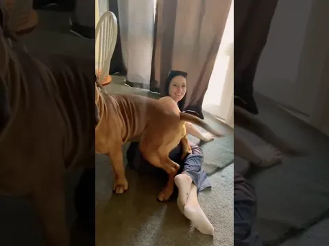 Dad Is this Behaving?
