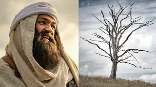 Habacuque - Ainda que a figueira não floresça