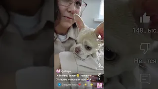 вы меня конечно извините но мне нравится эта песня и она подходит к этим роликам 