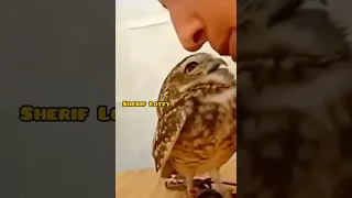 عمر خيرت    خلى بالك من عقلك دندنها