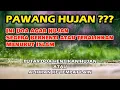 Download Lagu Bukan Pawang Hujan, Ini Doa agar Hujan Segera Berhenti atau Teralihkan Menurut Islam