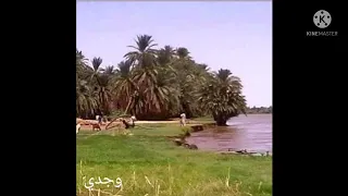 القامة شنان هيثم صندلوبة ايقة شورتي آق اوركناني 