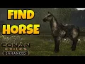 How to Get Horse Pet in Conan Exiles