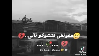 وجع القلب ابن الصعيد دندنها