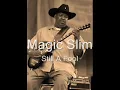 Magic Slim-Still A Fool