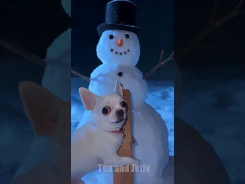 The Owner Makes Jeffy Get Firewood Outside 🥶❄️⛄
