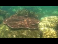 Download Lagu Trip to Belitung (Pulau Belitung - Indonesia)