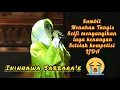 Download Lagu Sungguh Menyayat Hati Selfi Ininnawa Sabbarae || Lagu Bugis