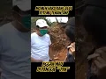 Download Lagu jangan panggil bapak