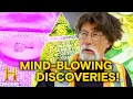 Uncovering More of 2025 s Best Finds The Curse of Oak Island