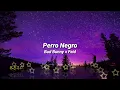 BAD BUNNY ft. FEID - PERRO NEGRO (Letra - Lyrics)