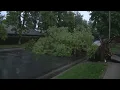 Strong storm topples trees causes power outages throughout Fresno County