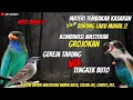 Lagu NGERIII..!!!MATERI TEMBAKAN KASARAN || KOMBINASI MASTERAN GROJOKAN GEREJA MIX TENGKEK BUTO !!