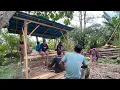 Download Lagu PROSES KANDANG WEDHUS NUR CEMPE FARM SUDAH 50%😂🥰