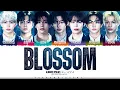 Download Lagu ENHYPEN 'BLOSSOM' Lyrics [Color Coded Kan_Rom_Eng] | ShadowByYoongi