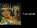 YOU COULD BE THAT BOY (DOLBY ATMOS STEMS) DANNA