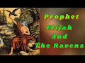Bible Lesson Elijah And The Ravens Craft
