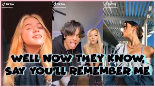 Download WELL NOW THEY KNOW, SAY YOU'LL REMEMBER ME TIK TOK COMPILATION MP3