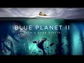 Hans Zimmer, Jacob Shea & David Fleming - Big Blue | Official Soundtrack