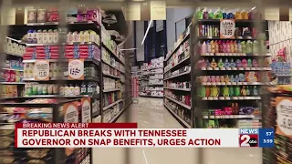 Republican lawmaker breaks with Tennessee governor over SNAP benefits urges action