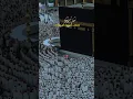 Download Lagu Labaik Allahumma Labbaik | Whatsapp Status | HAJJ 2025 #shorts