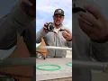 Stihl FS 38 trimmer line how to re spool