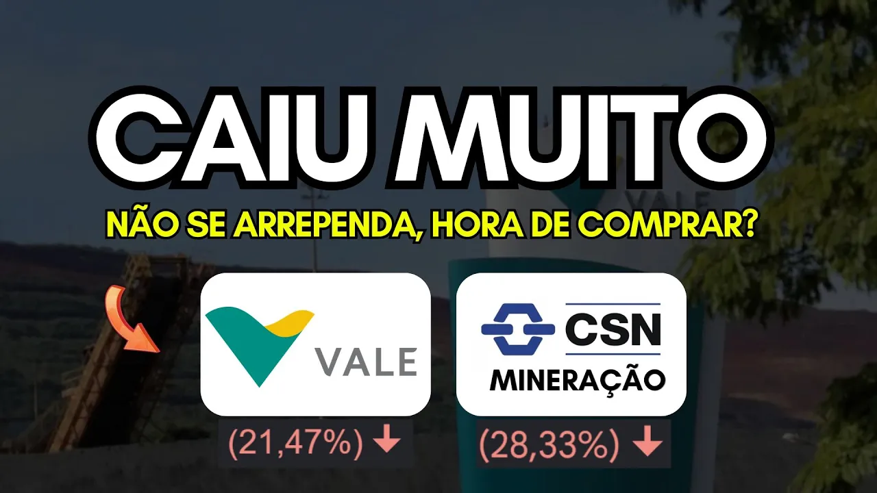 Vale (vale3) e Csn Mineração (cmin3) Hora de Comprar pra Grandes Dividendos? Não Se Arrependa