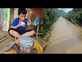 Download Lagu With her money, foreign uncle Lam had a meal with extra meat and bought a new pot.