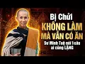 Lagu Bị chửi “KHÔNG ĐI LÀM MÀ ĂN”, Sư Minh Tuệ nói 1 câu ai cũng LẶNG