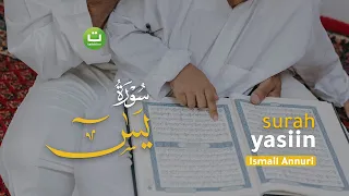 Download Beautiful Quran Recitation of Surah Yasin - Ismail Annuri إسماعيل النوري MP3