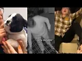 My fave TikToks I think Jenna Marbles would laugh at
