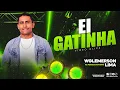 Download Lagu Wglemerson Lima - Ei Gatinha.  (Vídeo Clipe Oficial)