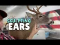 The NEW WAY I Pre Sculpt Whitetail Ears SUPER EASY Whitetail Taxidermy
