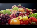 Download Lagu Surah Rahman With Urdu / Hindi Translation \u0026 Visual Effects سورة الرحمن┇Beautiful Quran Recitation