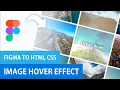 Image Gallery Blur Hover Effect Figma Prototype to HTML CSS