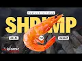 SHRIMPS HALAL OR HARAM IN ISLAM Islamic Knowledge