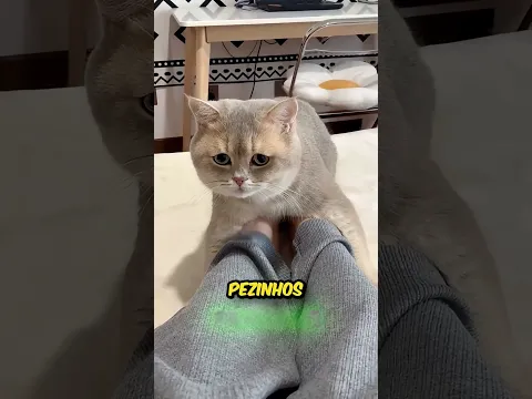 A gatinha mimi