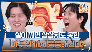 살이 찌면 상상치도 못한 ‘이 부위’까지 뚱뚱해진다? [옥탑방의 문제아들/Problem Child in House] | KBS 260908 방송