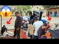 Mom Gets Sick Dad Rushes Her to the Doctor While Amin Leila Transform the House