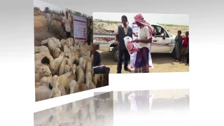 تقرير الاضاحي 