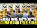 Download Lagu REJEKI SIANG ! NEMU MURAI TROTOL HUTAN PALING MEWAH !!! SEMUA DIJUAL MULAI 170.000 DIPASAR PRAMUKA